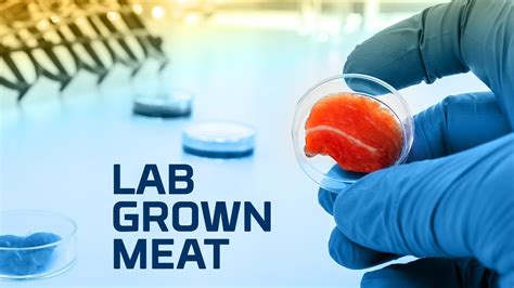 lab grown meat law